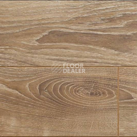 Ламинат Alsafloor Solid Plus ДУБ БАЛЕАРСКИЙ 622 фото 1 | FLOORDEALER